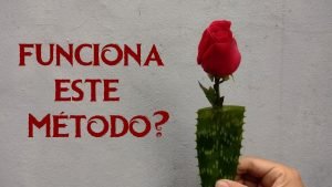 reproducir-rosas