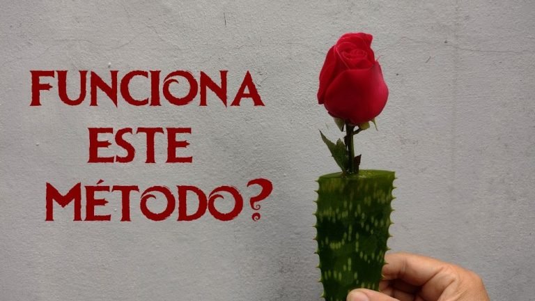 reproducir-rosas