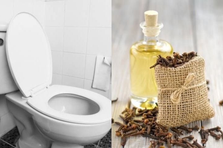 Truco infalible para quitar el olor a orina y perfumar la casa