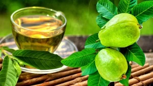 Hojas de Guayaba: Un Tesoro Natural para la Salud y la Belleza