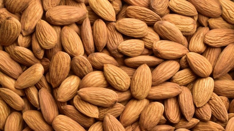 almendras-cultivo-casa-ignis-natura