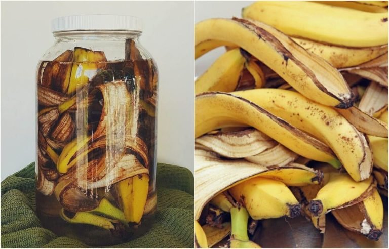 Fertilizante-cascara-banana-ignis-natura