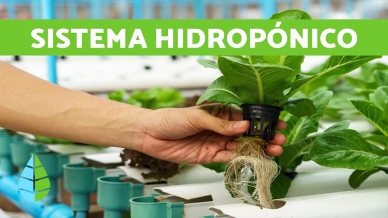 sistema-hidroponico-ignis-natura