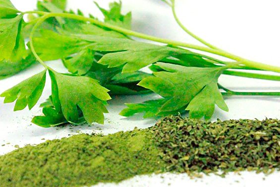 perejil-beneficios-ignis-natura