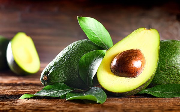 aguacate-cultivar-facil-ignis-natura