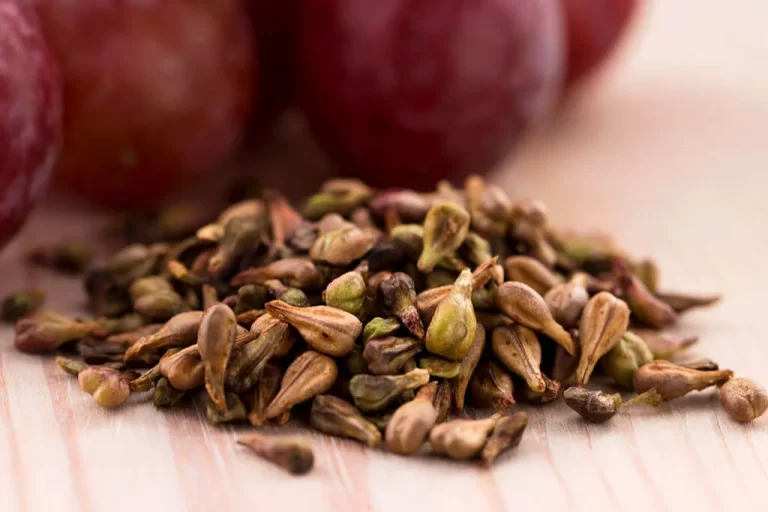 beneficios-curativos-de-las-semillas-de-uva-ignis-natura