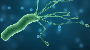 helicobacter-pylori-ignis-natura