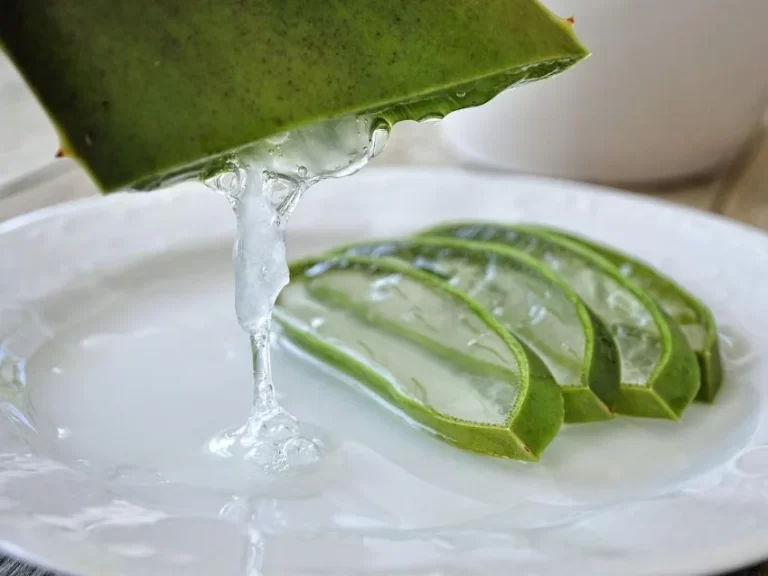 Colageno-receta-natural-ignis-natura