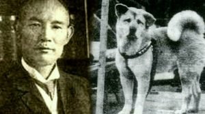 hachiko-curiosidades-ignis-natura