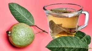 te-hojas-de-guayaba-ignis-natura