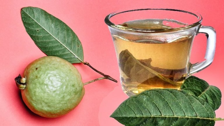 te-hojas-de-guayaba-ignis-natura