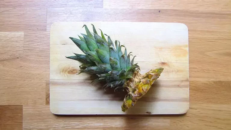 piñas-cultivar-en-casa-ignis-natura