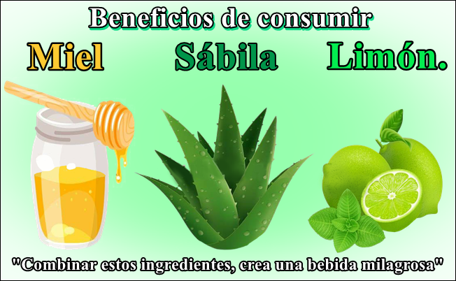 te-sabila-limon-miel-ignis-natura