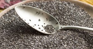 semillas-de-chia-propiedades-ignis-natura